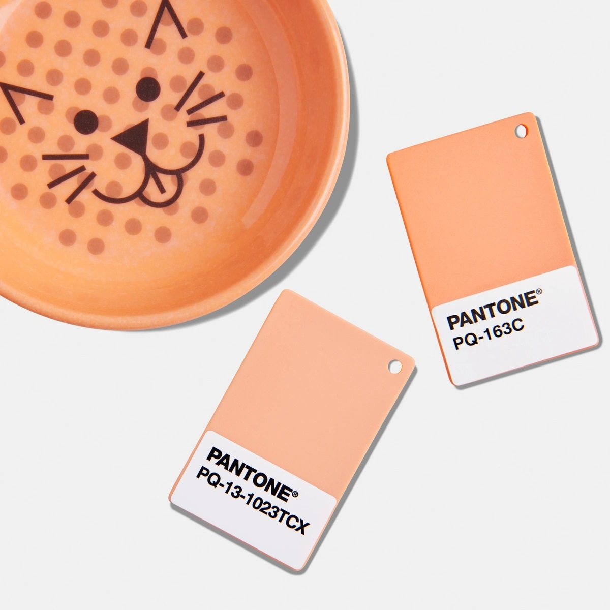 pantone-11-02-23-plastic-chip-2.jpg